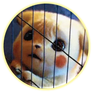 😨 79fa2cbd Pikachu Pikachu, Pokémon, Anime, Cartoni animati telegram sticker