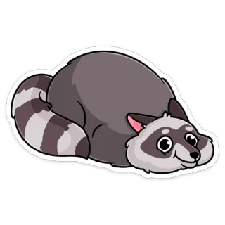 🙃 16e1c4ae แรคคูน, สัตว์, การ์ตูน, น่ารัก, สัตว์เลี้ยงลูกด้วยนม, หางลาย telegram sticker