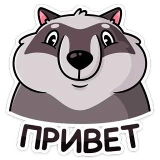 👋 23cd6b96 ПРИВЕТ แรคคูน, ทักทาย, สวัสดี, สัตว์, การ์ตูน telegram sticker