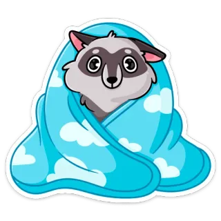 ☺️ 508296cd แรคคูน, น่ารัก, ผ้าห่ม, สัตว์, การ์ตูน, อบอุ่น telegram sticker