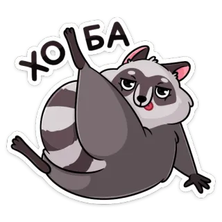 🐾 5d30e00b ХОБА แรคคูน, สัตว์, น่ารัก, การ์ตูน, ตลก telegram sticker