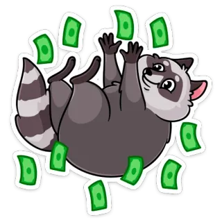 🤑 92f48f16 แรคคูน, เงิน, เงินสด, มีความสุข, การ์ตูน telegram sticker