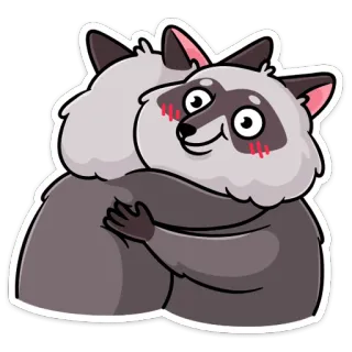 🤗 a1c013ac แรคคูน, กอด, สัตว์, น่ารัก, มิตรภาพ, การ์ตูน telegram sticker