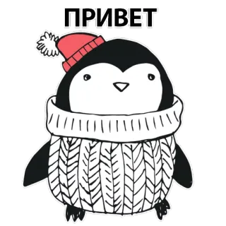 🐧 00d86d76 ПРИВЕТ pingwin, zima, czapka, powitanie, sweter, słodki, kreskówka, rosyjski telegram sticker