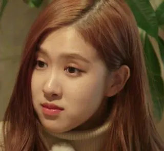 😐 c6b9426c Rose กุหลาบ, เคป็อป, นักร้อง, ใบหน้า, ภาพเหมือน telegram sticker