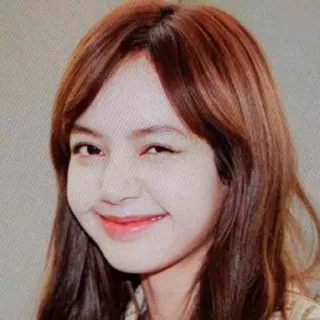 😉 cdf7db63 Lisa лиса, kpop, айдол, улыбка, подмигивание telegram sticker
