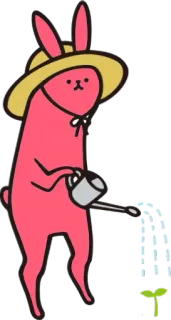 😁 50cfd100 ウサギ, ウサギ, 水やり, ガーデニング, 植物, 動物 telegram sticker