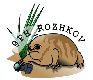 📹 5e1699bf @PH_ROZHKOV kikker, fotograaf, cartoon, wilde dieren, natuur, dier, camera telegram sticker