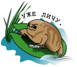📸 d7b100b3 УЖЕ ЛИЧУ. kikker, Russisch, meme, amfibie, dier, cartoon telegram sticker