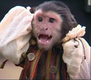 😠 3b0e0671 monkey, animal, cute, costume telegram sticker