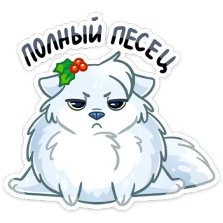 🤪 234828bf ПОЛНЫЙ ПЕСЕЦ kot, rosyjski, piesiec, pełny, sarkastyczny, zwierzę whatsapp sticker