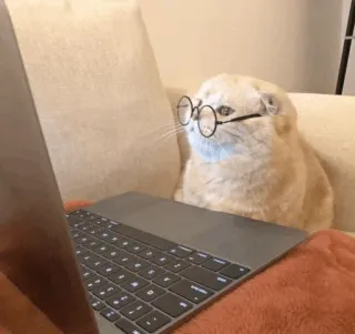 💓 32940a61 chat, lunettes, ordinateur portable, lecture, intelligent, ordinateur telegram sticker