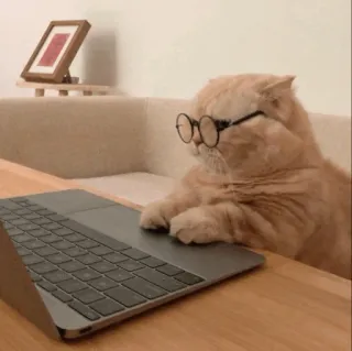 💓 4d7173ed chat, lunettes, ordinateur portable, animal, mème, internet, ordinateur telegram sticker