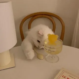 💓 5ee6cffd chat, boisson, verre, table, chaise, lampe, mignon, esthétique telegram sticker