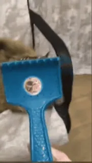 😡 1f176288 telegram sticker