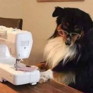 🐕 c91e9203 perro, costura, gafas, máquina de coser, mascota, animal, manualidades telegram sticker