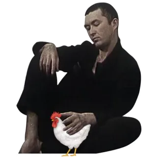 🐓 d99d7f47 男, 鶏, 座る, 動物, 人, リラックス telegram sticker