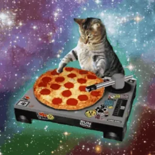 🍕 c15308a2 chat, pizza, DJ, platine, espace, drôle, animal telegram sticker