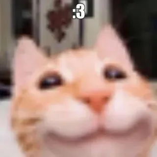 😊 37d721cb :3 고양이, 이모티콘, 귀여운, 동물, 애완 동물, 주황색 telegram sticker