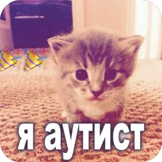 🫥 7eb0d9c6 Я аутист 새끼 고양이, 고양이, 텍스트, 불쾌한, 러시아어, 스티커 telegram sticker