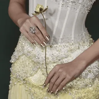 🪷 c663d87d telegram sticker