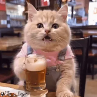 😋 5df89872 kucing, bir, binatang, minum, lucu, humor whatsapp sticker