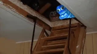 😳 1a744a96 telegram sticker