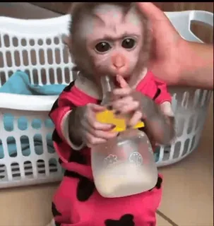 Ленович 0 telegram stickers