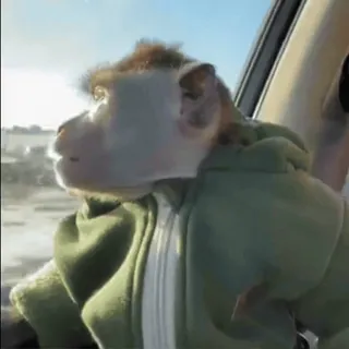 🌟 4d3605b6 singe, animal, sweat à capuche, fenêtre, mignon, singe telegram sticker