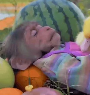 😴 74884309 singe, animal, fruit, pastèque, sommeil, repos telegram sticker