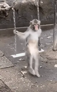 Ленович 0 whatsapp stickers