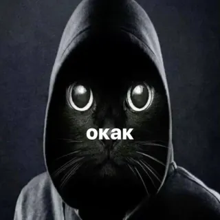 🌟 f3c2d53c окак chat, sweat à capuche, chat noir, russe, mignon, mème telegram sticker
