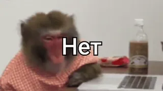😜 01e6f763 Нет mono, no, rechazo, meme de internet, ordenador telegram sticker
