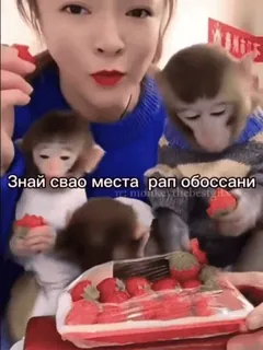 😒 0978c1ae Знай свао места, рап обоссани mono, comiendo, fresas, gracioso, meme telegram sticker