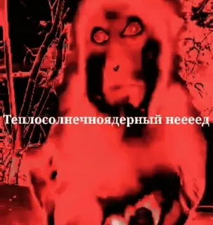 Бибизянки 6 > @bibizyankii telegram stickers