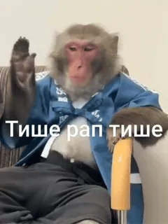 🙈 a4f61c26 Тише рап тише mono, simio, animal, ruso, texto, pegatina telegram sticker