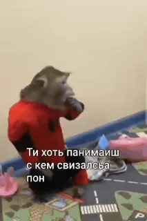 😅 bb48ac20 Ти хоть панимаиш с кем свизался пон mono, animal, primate, humor, meme, ruso, texto, ropa telegram sticker