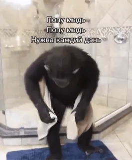 ☺️ f580e561 Попу мыдь
Попу мыдь
Нужна каждый день mono, ducha, baño, toalla, gracioso telegram sticker