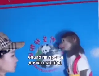 ❤️ ff1ef432 епало па проще
дочка шахтёра mono, persona, aire libre, animal telegram sticker