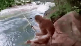 😱 05dcac73 whatsapp sticker