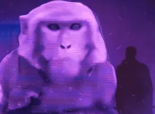 😭 1b60043f обезьяна, человекообразная обезьяна, животное, фиолетовый, силуэт, снег whatsapp sticker