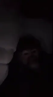 😭 9444b7b4 whatsapp sticker