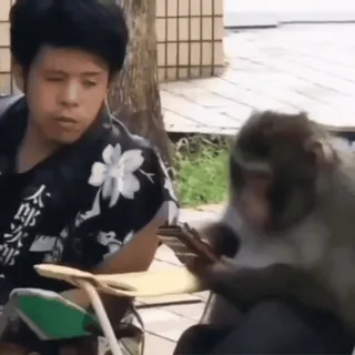 😘 9ef9063f whatsapp sticker