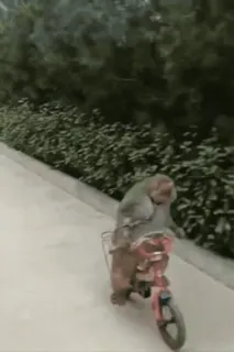 Бибизяны 8 > @bibizyankii whatsapp stickers