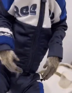 ☺️ ed302b8a whatsapp sticker