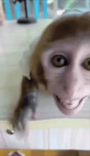 ❤️ f37bcf4c whatsapp sticker