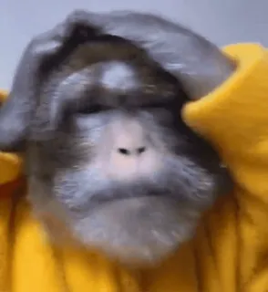 😱 fa3fbe1e whatsapp sticker