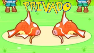👫 c7e44bb8 PRIVADO โปเกมอน, Magikarp, ส่วนตัว, การ์ตูน, วิดีโอเกม telegram sticker