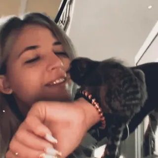 🐒 8c1534c4 猫, 女性, ペット, 動物, 友情, 愛 telegram sticker