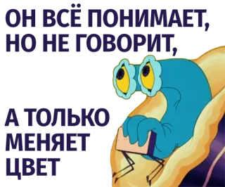 🌈 cf702817 telegram sticker